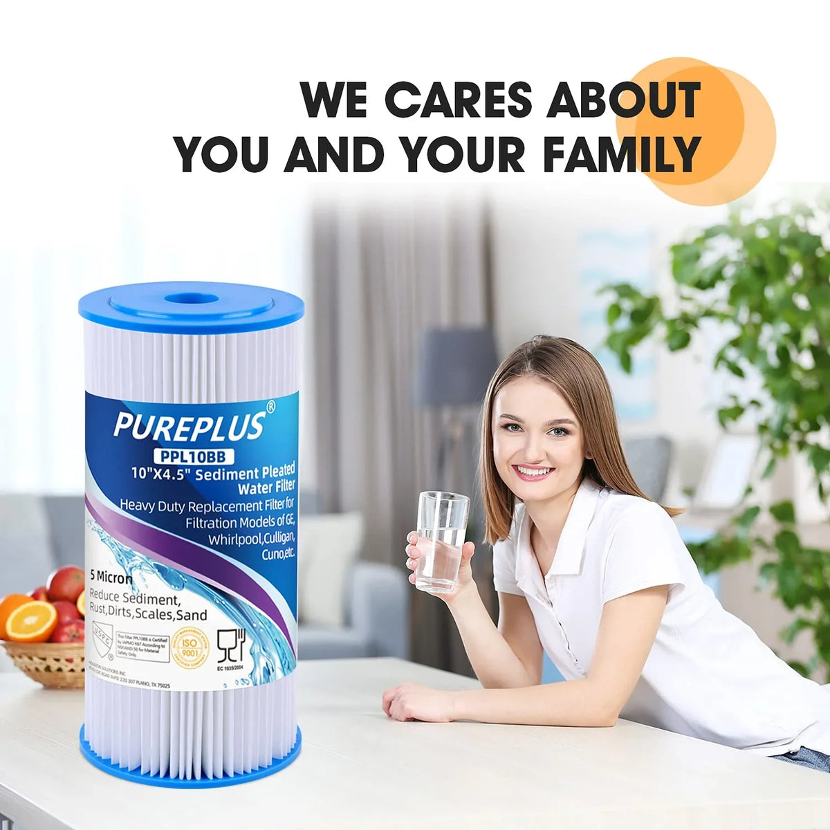 PUREPLUS FXHSC 10" x 4.5" Whole House Water Filter, Replacement for GE FXHSC, Culligan R50-BBSA, Pentek R50-BB and DuPont WFHDC3001, American Plumber W50PEHD, GXWH40L, Pack of 2