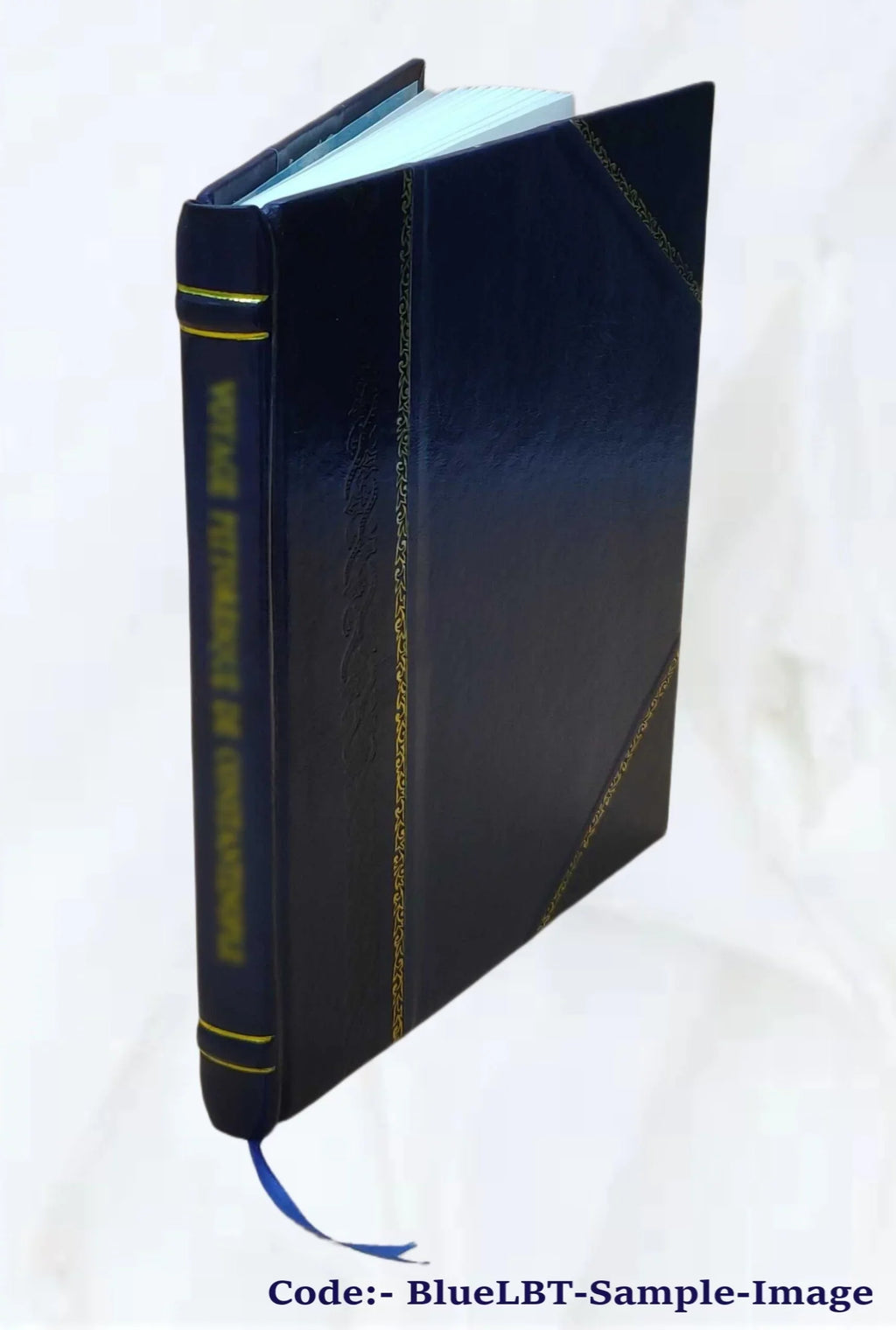 A Wonderful Ghost Story: Being Mr. H.'S Own Narrative : Reprinte [Leather Bound]