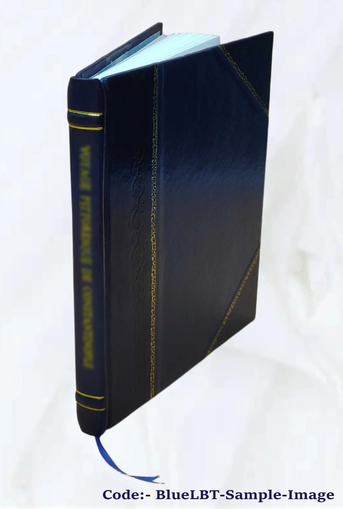 A Wonderful Ghost Story: Being Mr. H.'S Own Narrative : Reprinte [Leather Bound]