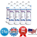 AFC Brand , Water Filters , Model # AFC-EPH-104-9000S , Compatible with Pentair® EV925924 - 12 Filters - Made in U.S.A.