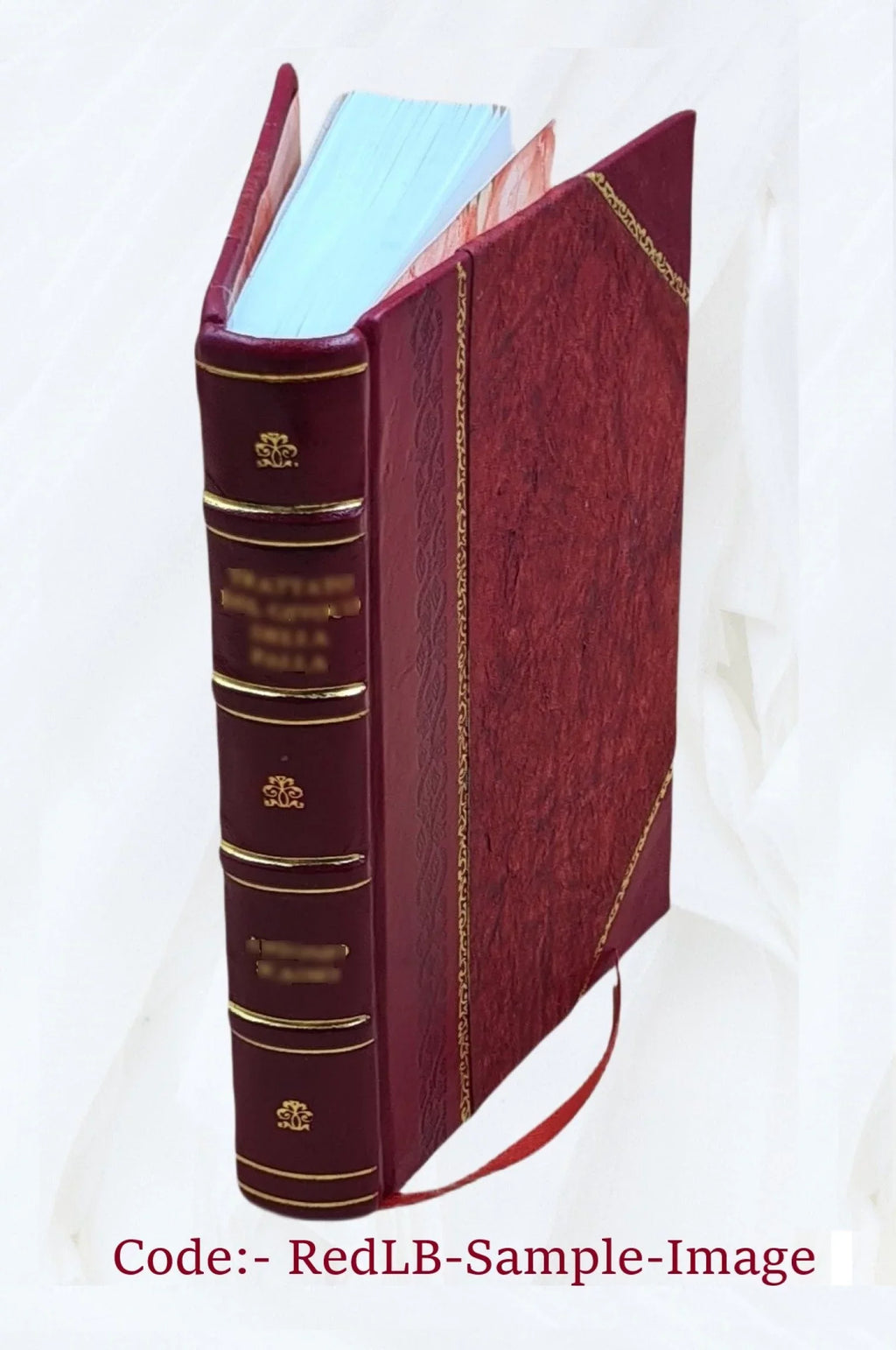 L'Amico Cattolico Volume v.5 1841 [Leather Bound]