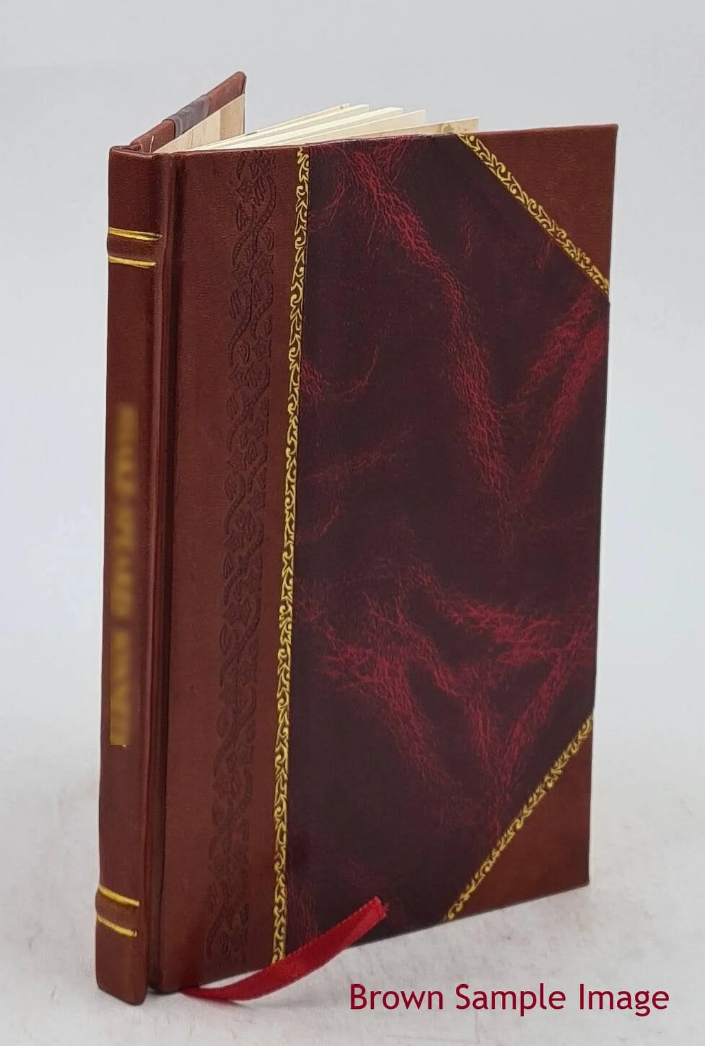 A Wonderful Ghost Story: Being Mr. H.'S Own Narrative : Reprinte [Leather Bound]