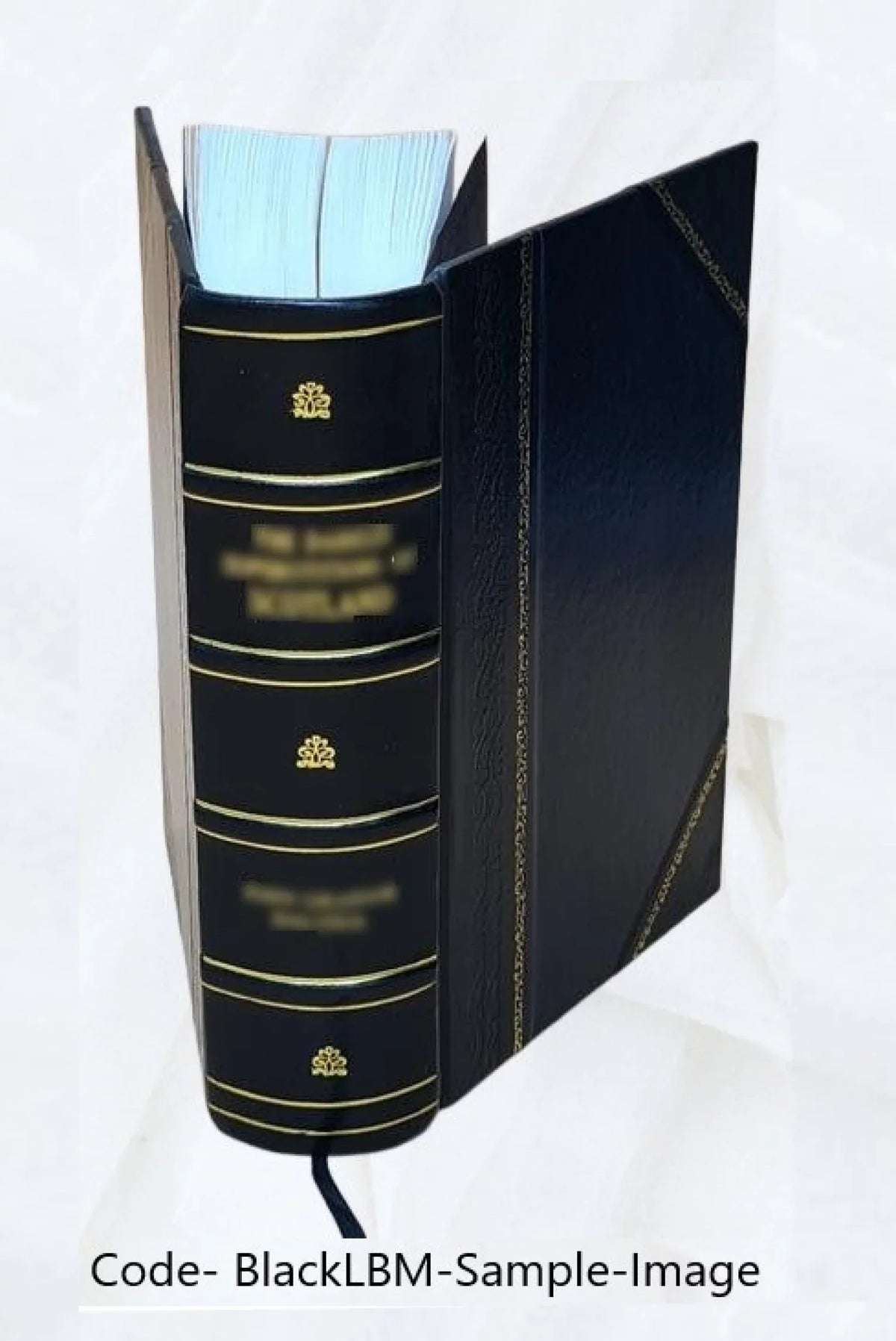 Imperatoris Iustiniani Institutionum libri quattuor / with introductions, commentary, and excursus, by J.B. Moyle. 1896 [Leather Bound]